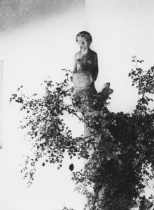 WKN_1950_021.jpg