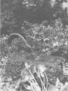 WKN_1960_048.jpg